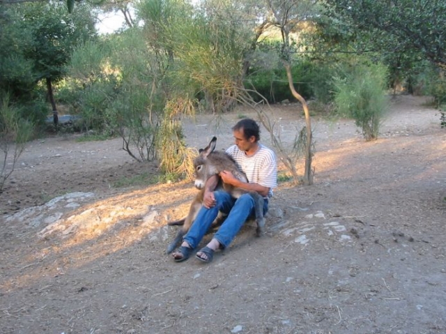  Aventura en burro en el 34 